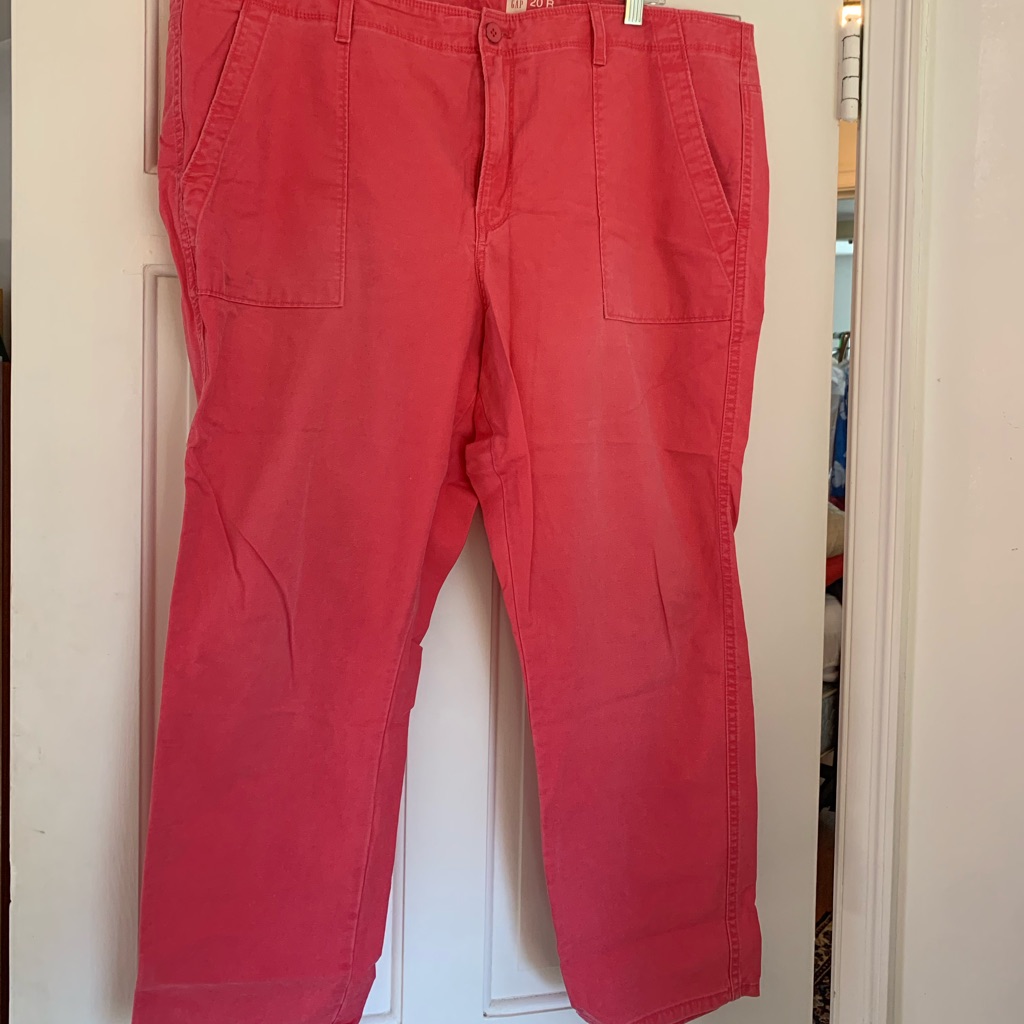 Gap Cropped Chino Pants